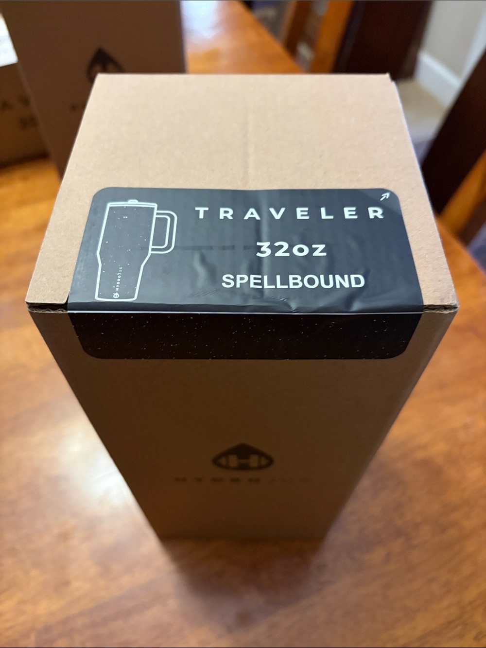 HydroJug Traveler 32oz Spellbound